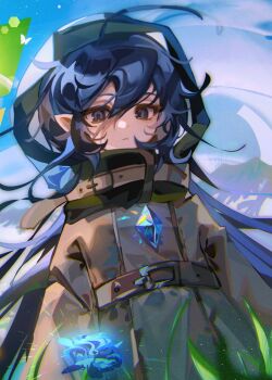 1girl ahoge black_eyes black_hair blue_flower blue_gemstone brown_coat closed_mouth cloud_(lufaeris) coat commentary cowboy_shot english_commentary flower gem hair_between_eyes highres hood hood_up hooded_coat long_hair looking_at_viewer messy_hair original pointy_ears solo