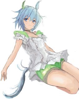 1girl animal_ears blue_eyes blush breasts choker closed_mouth commentary_request ear_covers green_sailor_collar green_shorts grey_hair hair_between_eyes horse_ears horse_girl horse_tail looking_at_viewer sailor_collar seiun_sky_(reeling_in_the_big_one)_(umamusume) seiun_sky_(umamusume) shirt short_hair shorts simple_background single_ear_cover small_breasts solo tail umamusume white_background white_shirt yanagi_wakana