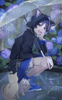 1boy aether_(genshin_impact) ahoge alternate_costume animal_ear_hood animal_ears animalization arm_between_legs artist_name black_coat black_hair black_sleeves blonde_hair blue_boots blue_flower blunt_ends boots braid cat_ears coat elbow_on_knee eyeliner eyeshadow fake_animal_ears flower from_side genshin_impact grey_trim hair_flower hair_ornament hair_tie hand_on_own_face highres hood hood_up hooded_coat hydrangea leaf long_hair long_sleeves looking_at_viewer low-braided_long_hair low-tied_long_hair lumine_(genshin_impact) makeup male_focus multicolored_flower official_alternate_costume open_mouth outdoors person_and_animalization purple_eyes purple_flower purple_pupils rain raincoat red_eyeliner red_eyeshadow rubber_boots scaramouche_(genshin_impact) shorts sien1009 solo squatting transparent transparent_umbrella tsurime umbrella wanderer_(genshin_impact) water_drop watermark white_flower white_shorts white_umbrella