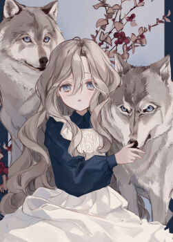 1girl absurdres blue_eyes blue_shirt blush collared_shirt cowboy_shot d: dress flower grey_hair hair_between_eyes hand_on_animal highres kyuumura long_hair long_sleeves looking_at_viewer open_mouth original pillarboxed pleated_dress puffy_long_sleeves puffy_sleeves red_flower shirt sidelocks sitting sleeve_cuffs solo straight-on wavy_hair white_dress wolf