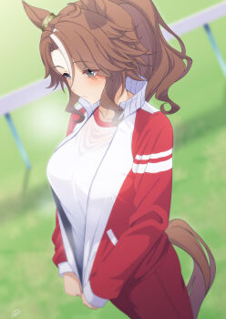 1girl absurdres animal_ears aqua_eyes blush breasts brown_hair commentary_request highres horse_ears horse_girl horse_tail inukai_nagisa jacket large_breasts mejiro_palmer_(umamusume) multicolored_hair outdoors pants parted_lips partially_unzipped red_jacket red_pants shirt solo streaked_hair sweat tail tracen_training_uniform track_jacket track_suit umamusume white_hair white_shirt
