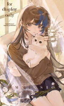 1girl absurdres animal black_skirt blue_eyes blue_hair brown_hair brown_jacket cat closed_mouth commission cowboy_shot day highres holding holding_animal indoors jacket long_sleeves loobookk looking_at_viewer miniskirt multicolored_hair original sitting skirt solo two-tone_hair watermark window wing_collar