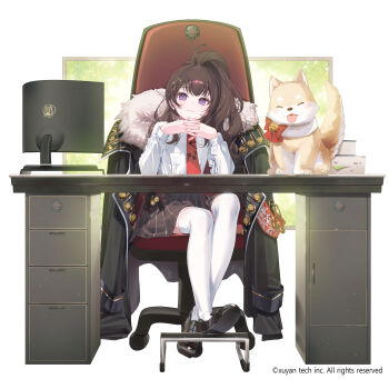 Rule 34 | 1girl, a20 (atsumaru), black coat, black shoes, bow, bowtie, breast pocket, brown hair, brown skirt, chair, character request, coat, dog, dress, elbow on table, fur-trimmed coat, fur trim, highres, interlocked fingers, long sleeves, looking at viewer, mahjong hime, monitor, office chair, official art, own hands together, pocket, ponytail, purple eyes, red bow, red bowtie, shoes, sitting, skirt, smile, swivel chair, thighhighs, white background, white dress, white thighhighs