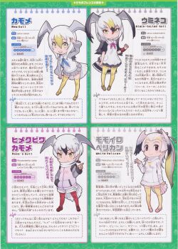4girls black-tailed_gull_(kemono_friends) common_gull_(kemono_friends) full_body great_white_pelican_(kemono_friends) kemono_friends kemono_friends_2 looking_at_viewer multiple_girls official_art ross&#039;s_gull_(kemono_friends) simple_background yoshizaki_mine
