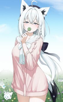 1girl ahoge animal_ear_fluff animal_ears beret black_bow black_hat blush bow braid clover commentary_request earrings extra_ears fox_ears fox_girl fox_tail grass green_eyes hair_between_eyes hair_bow hat highres holding holding_clover hololive jewelry long_hair looking_at_viewer nejima_kitsune_(shirakami_fubuki) pink_shirt sanwanton shirakami_fubuki shirakami_fubuki_(street) shirt sidelocks single_braid sukonbu_(shirakami_fubuki) tail virtual_youtuber white_hair