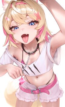 1girl animal_collar animal_ears arm_up armpit_focus armpits bandaid bandaid_hair_ornament belt bilingual_commentary black_collar blonde_hair blue_eyes bra bra_peek collar commentary cropped_shirt crossed_bangs dog_ears dog_girl dog_tail double-parted_bangs english_commentary fake_horns fang frilled_shorts frills hair_between_eyes hair_intakes hair_ornament hairband highleg highleg_panties highres hololive hololive_english horn_hairband horns leopard_print leopard_print_bra looking_at_viewer midriff mixed-language_commentary mococo_abyssgard mococo_abyssgard_(1st_costume) multicolored_hair navel open_mouth padoruu paid_reward_available panties panty_straps pink_belt pink_bra pink_hair pink_hairband print_bra shirt short_hair short_shorts shorts simple_background solo spiked_collar spikes streaked_hair sweat t-shirt tail tongue tongue_out two_side_up underwear virtual_youtuber white_background white_shirt x_hair_ornament