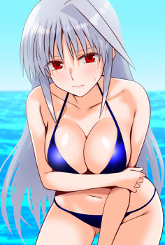 Rule 34 | 1girl, arm under breasts, bikini, blue bikini, breasts, cleavage, closed mouth, collarbone, commentary request, engo (aquawatery), grey hair, large breasts, leaning forward, long hair, looking at viewer, lyrical nanoha, mahou shoujo lyrical nanoha, mahou shoujo lyrical nanoha a&#039;s, red eyes, reinforce, solo, swimsuit, very long hair
