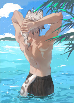 Rule 34 | 1boy, arknights, back, back focus, black pants, blue sky, chinese commentary, cloud, commentary request, from behind, male focus, ocean, pants, shengyue, silverash (arknights), sky, snow leopard boy, snow leopard ears, snow leopard tail, topless male, wading, water drop, wet, white hair