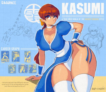 1girl breasts brown_eyes brown_hair cleavage dead_or_alive highres kasumi_(doa) large_breasts long_hair ninja panties ponytail saguinee short_sleeves thighhighs underwear wide_hips