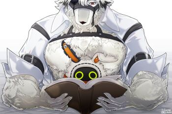 1boy animal_ears bara bare_pectorals book chest_belt chest_harness chest_strap claws eyepatch furry furry_male harness highres holding holding_book large_pectorals male_focus muscular muscular_male one_eye_covered open_book open_clothes open_shirt pectorals reading red_eyes shadbit shirt third-party_source upper_body von_lycaon white_background white_fur white_hair white_shirt wolf_boy zenless_zone_zero