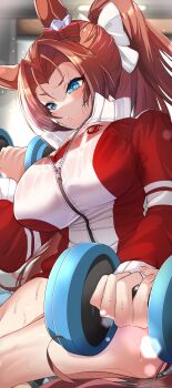 1girl alternate_costume animal_ears blue_eyes braid breasts brown_hair buruma closed_mouth commentary_request dumbbell ear_ornament exercising hair_intakes half_up_braid highres horse_ears horse_girl horse_tail indoors jacket kawakami_princess_(umamusume) large_breasts maou_(maoudaisukiya) red_buruma red_jacket solo tail track_jacket umamusume weightlifting