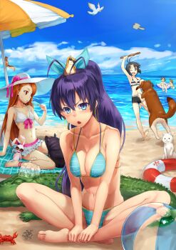 5girls alligator anklet antenna_hair ball barefoot beach beachball bikini bird black_hair blue_eyes blush breasts brown_eyes brown_hair cat cleavage cockatoo crab crocodilian day earrings fang flying_squirrel food futami_ami futami_mami ganaha_hibiki hairband hamster hamuzou hat high_ponytail hoop_earrings idolmaster idolmaster_(classic) indian_style inumi jewelry kaito_nina kikuchi_makoto long_hair looking_at_viewer minase_iori multiple_girls navel ocean open_mouth orange_hair pig ponytail popsicle purple_hair red_eyes shore short_hair siblings sisters sitting smile squirrel st._bernard stuffed_animal stuffed_rabbit stuffed_toy sun_hat swimsuit twins umbrella