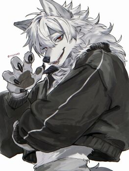 1boy bags_under_eyes black_jacket body_fur claws commentary_request furrification furry furry_male highres jacket kuzuha_(1st_costume)_(nijisanji) kuzuha_(nijisanji) looking_at_viewer male_focus midriff nijisanji red_eyes ryuyuep simple_background solo tail upper_body white_background white_fur white_hair wolf_boy