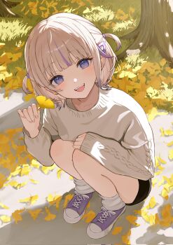 1girl black_shorts blonde_hair commentary_request highres hololive hololive_dev_is kiina_(mrnsor) leaf leg_warmers looking_at_viewer multicolored_hair nature open_mouth purple_hair purple_shoes shoes short_hair shorts sneakers solo squatting streaked_hair sweater teeth todoroki_hajime tree two_side_up upper_teeth_only white_sweater