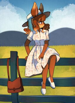 1girl absurdres animal_ears arm_support brown_bag brown_eyes brown_hair commentary day dress english_commentary fence field floral_print floral_print_dress full_body furry furry_female hat highres looking_to_the_side medium_hair okaliz original outdoors print_dress rabbit_ears rabbit_girl shoes sitting sitting_on_fence sky solo whiskers white_dress white_hat white_shoes