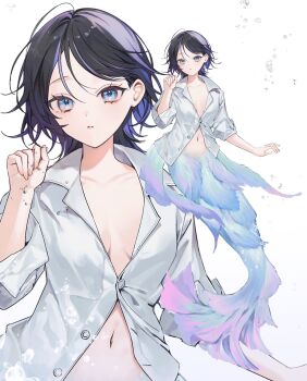 1girl absurdres ahoge air_bubble arm_up black_hair blue_eyes blue_tail body_fins breasts bubble collarbone commentary_request daimaou_ruaeru dress_shirt fins hair_between_eyes highres long_hair looking_at_viewer medium_breasts mermaid monster_girl naked_shirt navel no_bra open_clothes open_shirt original pink_tail shirt solo solo_focus two-tone_tail white_background white_shirt zoom_layer