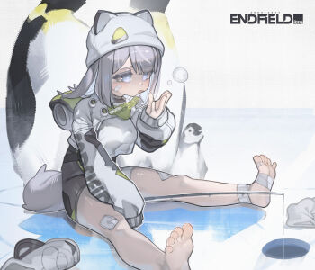 Rule 34 | 1girl, 2ho, absurdres, arknights, arknights: endfield, bandaid, bandaid on cheek, bandaid on face, barefoot, bird, breasts, estella (arknights), feet, gauze on knee, grey eyes, grey hair, hashtag-only commentary, highres, long hair, medium breasts, open mouth, penguin, sitting, soles, solo, toes