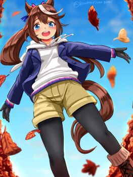 1girl animal_ears autumn_leaves black_gloves black_pantyhose blue_eyes blush brown_hair commentary_request from_below gloves gumakara highres hood hoodie horse_ears horse_girl horse_tail jacket jacket_over_hoodie leaf multicolored_hair open_mouth outstretched_arms pantyhose pantyhose_under_shorts ponytail purple_jacket round_teeth shorts smile solo streaked_hair tail teeth tokai_teio_(umamusume) twitter_username two-tone_hair umamusume upper_teeth_only white_hair white_hoodie yellow_shorts