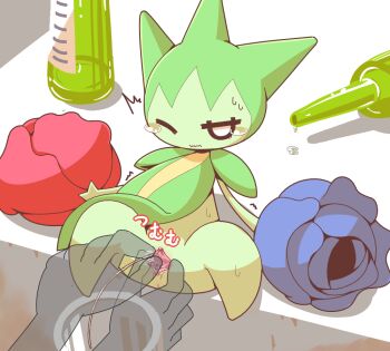 1girl anus blank_eyes blue_flower blue_rose bottle catheter clitoris colored_skin crepix cup disembodied_hand drinking_glass female_focus flower full_body gen_3_pokemon green_skin half-closed_eye japanese_text jitome large_variant_set leaning_back monster_girl nintendo no_feet one_eye_closed plant_girl pokemon pokemon_(creature) pussy pussy_juice red_flower red_rose rose roselia_(pokemon) sitting solo_focus spread_legs spread_pussy spreading_another&#039;s_pussy sweat tears translation_request uncensored urethra urethral_insertion variant_set white_eyes