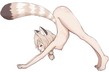 1girl absurdres ass braid breasts brown_hair closed_eyes feet from_side highres kan_(kannanii) komachi_panko loli nipples nude phase_connect red_panda_ears red_panda_tail small_breasts solo stretching virtual_youtuber white_background