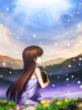 Rule 34 | 00s, 1girl, barefoot, brown hair, clannad, dress, feet, female focus, flower, garbage doll, girl from the illusionary world, grass, hugging doll, hugging object, key (company), light particles, long hair, mutsuki (moonknives), nature, outdoors, robot, sitting, solo, sunlight, yokozuwari