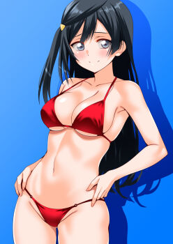 1girl bare_shoulders bikini black_hair blue_background blush breasts commentary_request commission engo_(aquawatery) grey_eyes hair_ornament large_breasts long_hair looking_at_viewer love_live! love_live!_nijigasaki_high_school_idol_club navel pixiv_commission red_bikini simple_background smile solo swimsuit yuki_setsuna