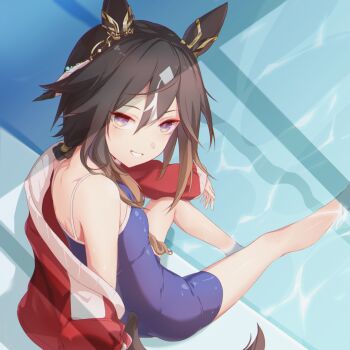 1girl animal_ears bare_shoulders black_hair blue_one-piece_swimsuit breasts brown_eyes brown_hair competition_school_swimsuit ear_covers gradient_eyes hair_between_eyes highres horse_ears horse_girl horse_tail jacket long_hair looking_at_viewer looking_back multicolored_eyes multicolored_hair one-piece_swimsuit open_clothes open_jacket pool poolside purple_eyes red_jacket ryuutai_no_kimagure school_swimsuit sitting small_breasts smile solo stay_gold_(umamusume) streaked_hair swimsuit tail tracen_swimsuit track_jacket umamusume water white_hair