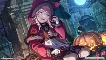 1girl alternate_costume bang_dream! basket blue_eyes dress flower food fruit grapes graveyard halloween_costume highres hood long_hair looking_at_viewer moon nail_polish night official_alternate_costume official_art outdoors pink_hair pumpkin red_dress shadow silk sitting sky solo spider_web tamade_chiyu teeth tree upper_teeth_only wolf