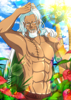 Rule 34 | 1boy, abs, anthurium, beard, cape, closed mouth, collarbone, commentary request, facial hair, flower, glasses, hand on own head, highres, holding, holding unworn cape, holding unworn clothes, long hair, male focus, musasabiop, mustache stubble, nipples, one piece, palm tree, round eyewear, scar, scar across eye, scar on chest, scar on face, shredded muscles, silvers rayleigh, solo, stubble, tan, topless male, tree, tropical, unworn cape, upper body, white hair