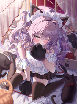 absurdres alternate_costume animal_ears animal_hands azur_lane black_cat black_thighhighs cat cat_ears cat_teaser commentary_request covering_own_mouth drill_hair enmaided fake_animal_ears fake_tail frilled_hairband frills gloves grey_eyes hairband highres looking_at_viewer maid maid_headdress official_alternate_costume paw_gloves pink_hair sitting spilled_milk tail thighhighs tingin_ee twin_drills twintails vittorio_cuniberti_(azur_lane) vittorio_cuniberti_(on_the_habits_of_cats)_(azur_lane) wariza