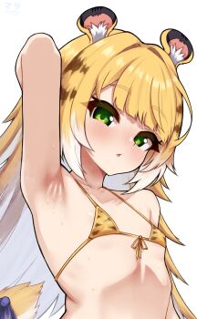 1girl absurdres animal_ear_fluff animal_ears animal_print arm_up armpit_crease armpit_focus armpits arms_behind_head bikini blonde_hair blue_bow blush bow collarbone colored_inner_hair commentary flat_chest green_eyes highres ju_fufu loli long_hair looking_at_viewer matsumaramara micro_bikini multicolored_hair nose_blush open_mouth paid_reward_available presenting_armpit simple_background solo string_bikini sweat swimsuit tail tail_bow tail_ornament tiger_ears tiger_print tiger_tail upper_body very_long_hair white_background yellow_bikini zenless_zone_zero