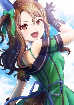 1girl animal_ears artist_name black_gloves breasts brown_hair commentary_request dress ear_covers gloves green_dress horse_ears horse_girl horse_tail king_halo_(king_of_emeralds)_(umamusume) king_halo_(umamusume) looking_at_viewer medium_hair off_shoulder open_mouth otono_(bkt4b) red_eyes solo tail umamusume