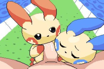 1boy 2girls animated animated_gif closed_eyes commentary cooperative_fellatio english_commentary erection fellatio furry furry_female furry_with_non-furry gen_3_pokemon hetero interspecies licking licking_penis lowres mincheeto minun multiple_girls nintendo oral penis pixel_art plusle pokemon pokemon_(creature) pokephilia pov teamwork_(sexual)