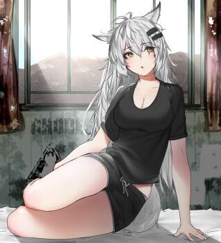 1girl :o animal_ears arknights arm_support black_shirt black_shorts breasts cleavage collarbone commentary_request day eyes_visible_through_hair full_body grey_hair grey_tail hair_between_eyes hair_ornament hairclip highres indoors lappland_(arknights) long_hair looking_to_the_side medium_breasts partial_commentary rhodes_island_logo_(arknights) scar scar_across_eye scar_on_face scoop_neck shirt short_shorts short_sleeves shorts solo t-shirt tail window wolf_ears wolf_girl wolf_tail yellow_eyes z_(knkr1025)