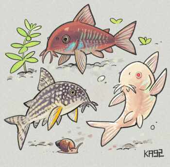 animal_focus arm_up black_eyes black_scales brown_scales corydora_(fish) grey_background highres ka92 no_humans original plant red_eyes red_scales signature simple_background snail swimming