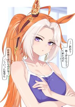 Rule 34 | 1girl, absurdres, animal ears, blue one-piece swimsuit, breasts, collarbone, commentary request, ear covers, highres, horse ears, horse girl, long hair, looking at viewer, medium breasts, multicolored hair, nerukichikatafukuma, one-piece swimsuit, orange hair, orfevre (umamusume), ponytail, purple eyes, single ear cover, solo, speech bubble, swimsuit, tracen swimsuit, translation request, two-tone hair, umamusume, upper body, white hair