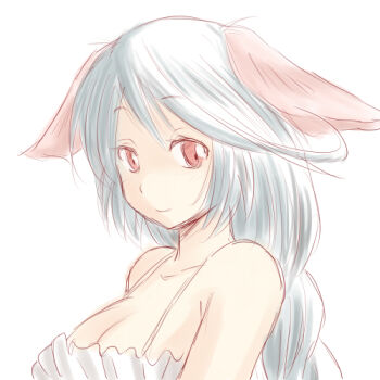 Rule 34 | 1girl, animal ears, ao usagi, bad id, bad pixiv id, commentary request, female focus, fictional persona, long hair, lowres, original, red eyes, shiro nezumi, simple background, sketch, solo, upper body, white hair