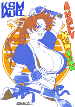 1girl breasts dead_or_alive goosuka highres kasumi_(doa) large_breasts long_hair