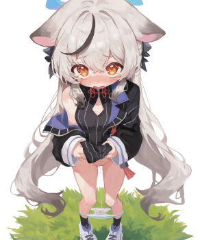 1girl animal_ears blue_archive blue_panties blue_underwear bottomless breasts clothes_lift clothes_pull dress dress_lift female_focus grey_hair halo highres jacket kokona_(blue_archive) lifting_own_clothes loli long_hair open_clothes open_jacket orange_eyes panties panty_pull pussy shoes simple_background small_breasts socks solo thighs underwear utsubo_(xjnh7234) white_background
