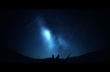 absurdres cat commentary_request highres letterboxed milky_way mountainous_horizon nengoro night night_sky no_humans original outdoors shooting_star signature silhouette sky sky_focus star_(sky) starry_sky