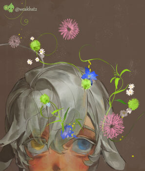 1girl animal_ears artist_name blue_eyes blue_flower brown_background bud close-up clover dandelion flower flower_on_head green_flower grey_hair hair_between_eyes heterochromia highres horizontal_pupils looking_at_viewer morning_glory original pink_flower plant portrait short_hair solo twitter_username weakbat white_flower yellow_eyes