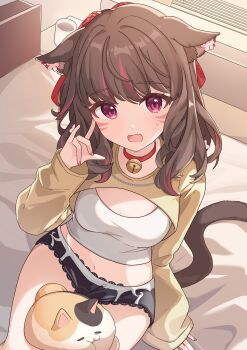 1girl \||/ absurdres animal_ears bell black_shorts breasts brown_hair cat cat_ears cat_girl cat_tail choker commentary_request commission cropped_shirt etoria final_fantasy final_fantasy_xiv highres long_sleeves looking_at_viewer medium_breasts medium_hair miqo'te multicolored_hair neck_bell open_mouth original pink_eyes red_choker shirt shorts shrug_(clothing) sitting skeb_commission solo streaked_hair sweatdrop tail white_shirt yellow_shrug