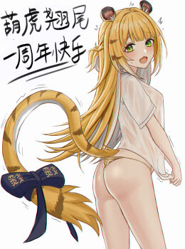 1girl :3 animal_ears ass bikini blonde_hair blush bow breasts clothes_grab colored_inner_hair fang from_behind gold_bikini green_eyes highres ju_fufu loli long_hair looking_at_viewer motion_lines multicolored_hair naked_shirt no_bra open_mouth paid_reward_available see-through_clothes see-through_shirt selcky shirt shirt_grab simple_background small_breasts sweatdrop swimsuit tail tail_bow tail_ornament tiger_ears tiger_girl tiger_tail white_background zenless_zone_zero