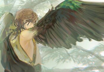 Rule 34 | 1boy, arm up, bird wings, brown hair, brown wings, chinese clothes, commentary, e2 (ee932930), from side, getian (reverse:1999), grey eyes, hanfu, harpy boy, highres, male focus, monster boy, profile, reverse:1999, short hair, solo, tree, untranslatable commentary, upper body, white hanfu, winged arms, wings