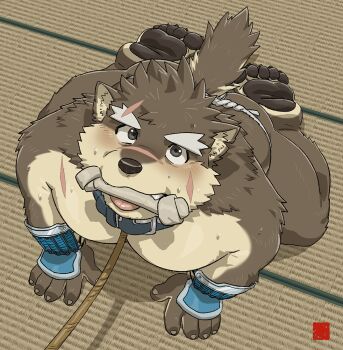1boy all_fours animal_ear_fluff animal_ears ass bara barefoot belly bone bone_in_mouth dog_boy dog_ears animal_nose dog_tail facial_scar fat fat_man fundoshi furry furry_male gauntlets japanese_clothes looking_at_viewer looking_up male_focus moritaka_(housamo) notched_ear open_mouth pawpads pectorals rossciaco scar scar_across_eyebrow scar_on_cheek scar_on_face scar_on_nose scar_on_shoulder smile sweat tail tatami thick_eyebrows tokyo_houkago_summoners tongue tongue_out topless_male very_sweaty