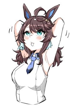 Rule 34 | 1girl, absurdres, adjusting hair, ahoge, animal ears, arms up, black hair, blue eyes, blush, breasts, closed mouth, commentary request, daring tact (umamusume), hair ornament, highres, horse ears, long hair, medium breasts, necktie, portrait, sleeveless, solo, star (symbol), star hair ornament, tikusen1216, umamusume, white background