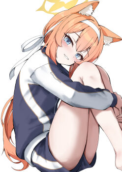 1girl absurdres animal_ear_fluff animal_ears awnw bare_legs blue_archive blue_eyes blush gym_shorts gym_uniform hair_ornament hairband halo highres hugging_own_legs jacket knees_up legs_up long_hair looking_at_viewer mari_(blue_archive) mari_(track)_(blue_archive) multicolored_jacket official_alternate_costume orange_hair shirt shorts simple_background sitting solo track_jacket two-tone_jacket white_background white_hairband yellow_halo