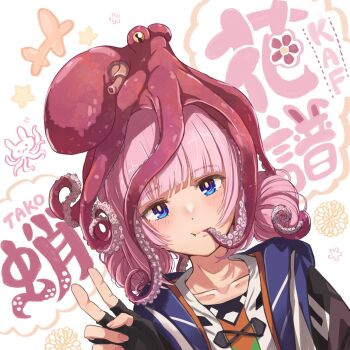 +++ 1girl animal animal_on_head black_gloves blue_eyes blue_jacket blush brown_jacket collarbone commentary_request double_bun fingerless_gloves gloves hair_bun hand_up highres hood hood_down hooded_jacket jacket kaf_(kamitsubaki_studio) kamitsubaki_studio looking_at_viewer multicolored_jacket on_head pink_hair short_hair solo squid star_(symbol) tentacle_in_mouth translation_request v virtual_youtuber white_background yadokari_159m yellow_pupils