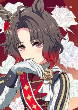 Rule 34 | absurdres, ahoge, animal ears, biting, biting glove, black jacket, blush, brooch, brown hair, commentary request, ear flower, epaulettes, flower, flower brooch, four-pointed star, gloves, gradient hair, highres, horse ears, horse girl, jacket, jewelry, long sleeves, looking at viewer, miboshi moroboshi, multicolored hair, parted lips, print sash, red hair, red sash, rose, rose kingdom (racing) (umamusume), rose kingdom (umamusume), sash, short hair, single epaulette, teeth, two-tone hair, umamusume, upper body, vertical-striped sleeves, white gloves