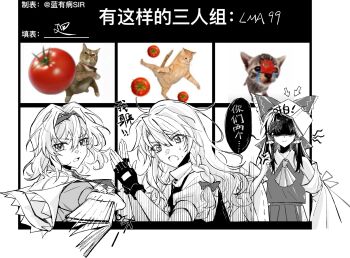 Rule 34 | 3girls, alice margatroid, arrow (symbol), ascot, book, bow, braid, capelet, cat, chinese commentary, chinese text, commentary request, detached sleeves, fingerless gloves, frilled bow, frilled hair tubes, frilled hairband, frills, gloves, hair bow, hair tubes, hairband, hakurei reimu, highres, kirisame marisa, lolita hairband, long hair, mi pomeranian, multiple girls, no headwear, open mouth, puffy short sleeves, puffy sleeves, ribbon-trimmed sleeves, ribbon trim, short sleeves, side braid, single braid, skirt, speech bubble, sweat, tomato, touhou, translation request